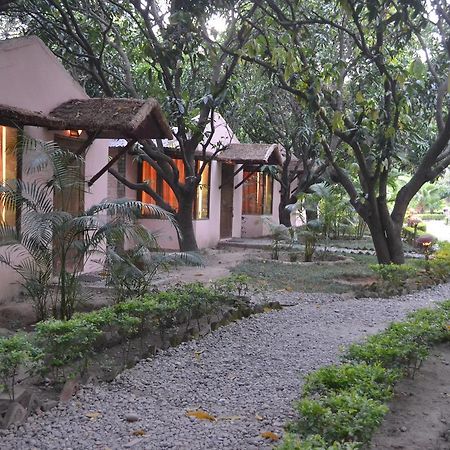 Vanya River Lodge Dhikuli Dış mekan fotoğraf