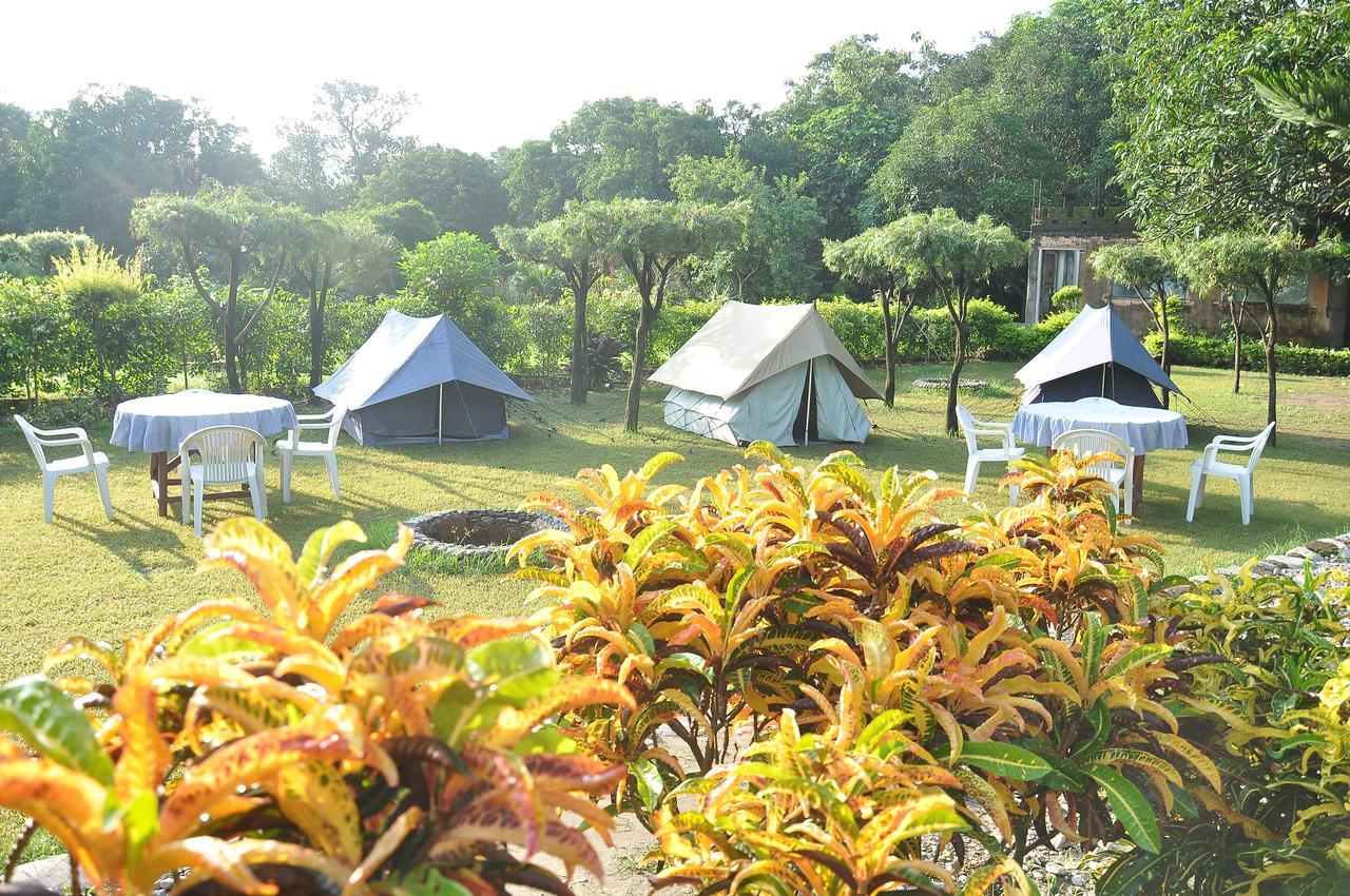 Vanya River Lodge Dhikuli Dış mekan fotoğraf